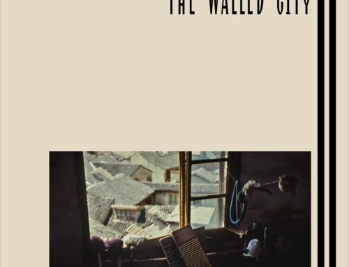 «Shanghai Old Town. The Walled City» Второй том